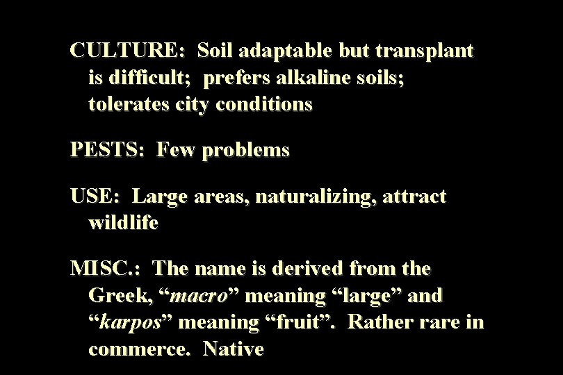 CULTURE: Soil adaptable but transplant is difficult; prefers alkaline soils; tolerates city conditions PESTS: