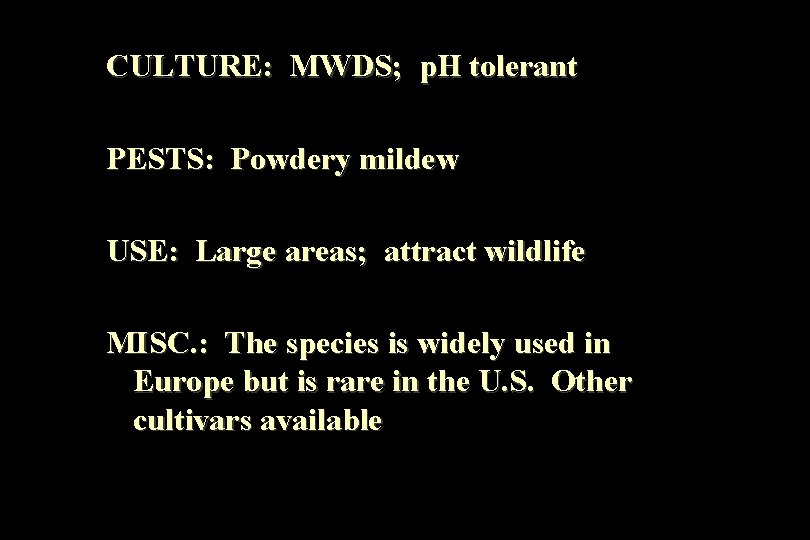 CULTURE: MWDS; p. H tolerant PESTS: Powdery mildew USE: Large areas; attract wildlife MISC.