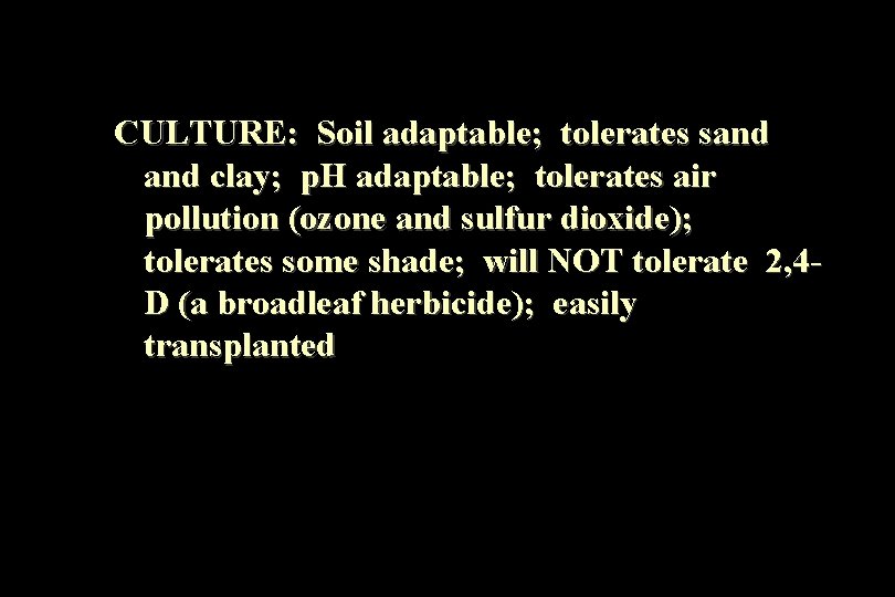 CULTURE: Soil adaptable; tolerates sand clay; p. H adaptable; tolerates air pollution (ozone and