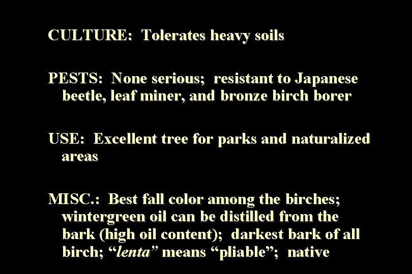 CULTURE: Tolerates heavy soils PESTS: None serious; resistant to Japanese beetle, leaf miner, and
