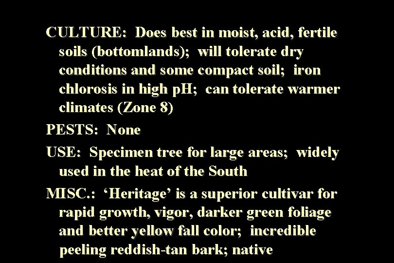 CULTURE: Does best in moist, acid, fertile soils (bottomlands); will tolerate dry conditions and