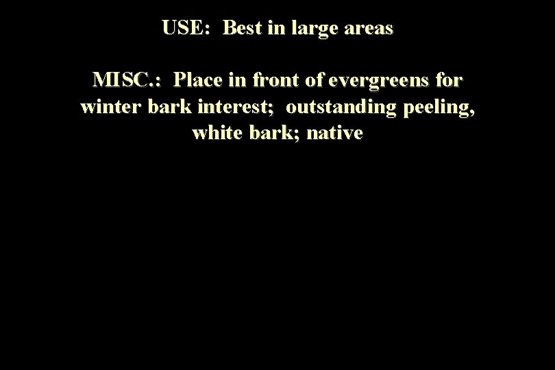 USE: Best in large areas MISC. : Place in front of evergreens for winter