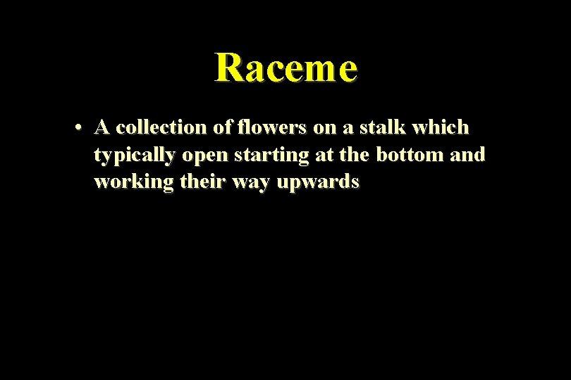 Raceme • A collection of flowers on a stalk which typically open starting at