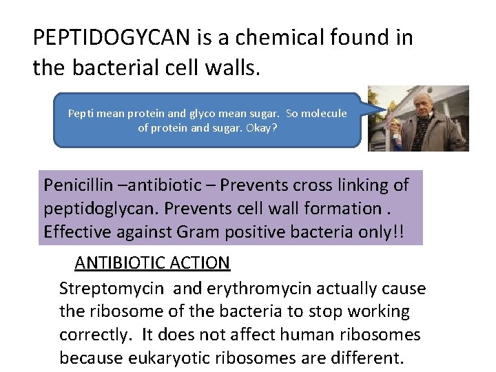PEPTIDOGYCAN is a chemical found in the bacterial cell walls. Pepti mean protein and