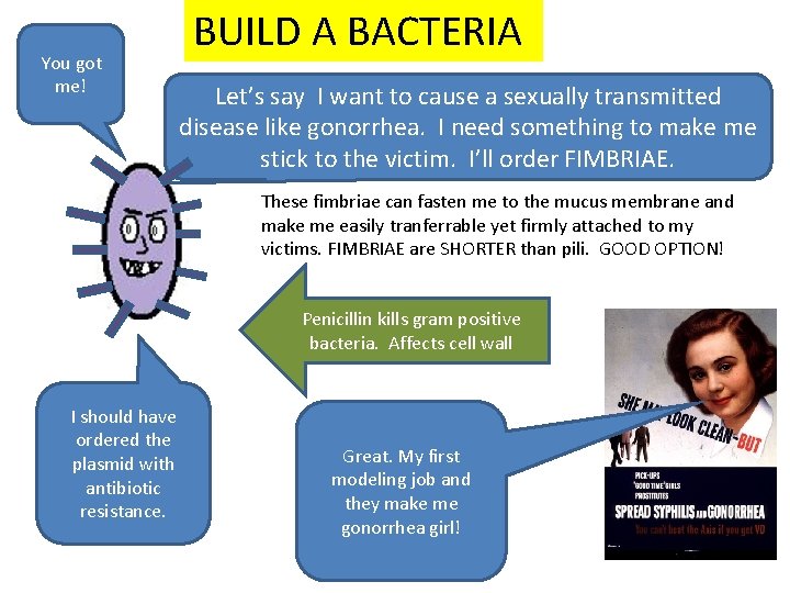 You got me! BUILD A BACTERIA Let’s say I want to cause a sexually