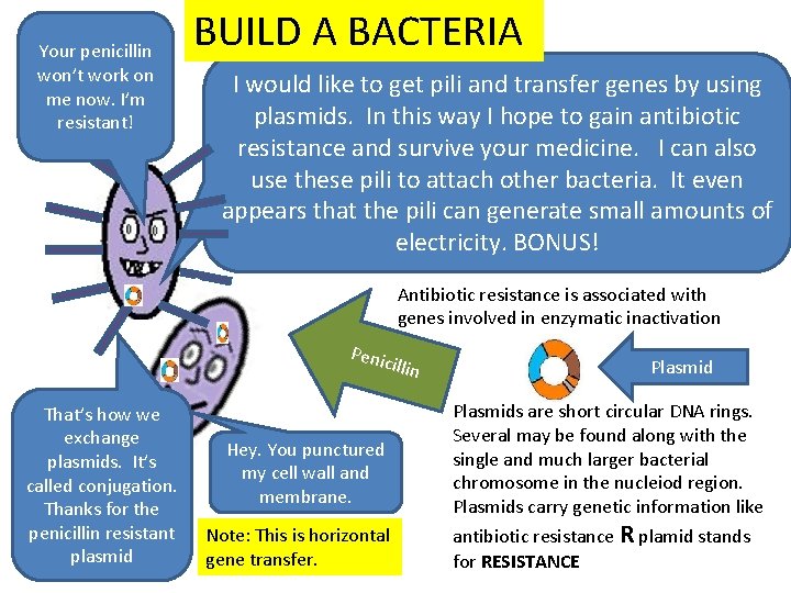 Your penicillin won’t work on me now. I’m resistant! BUILD A BACTERIA I would