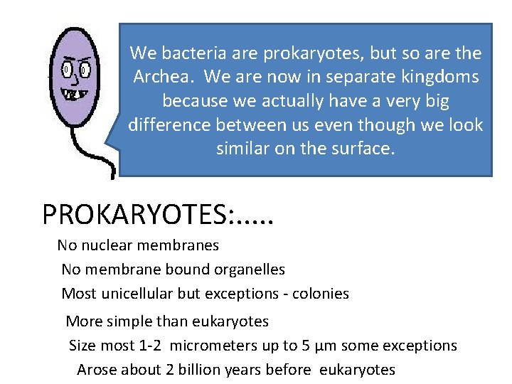 We bacteria are prokaryotes, but so are the Archea. We are now in separate