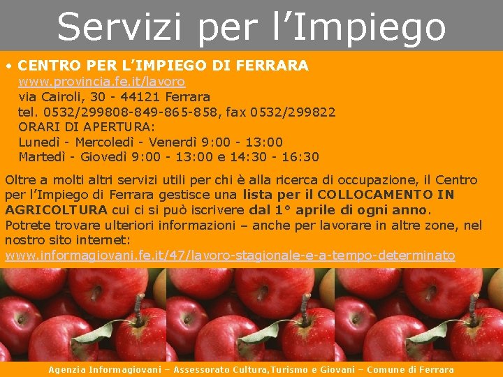 Servizi per l’Impiego • CENTRO PER L’IMPIEGO DI FERRARA www. provincia. fe. it/lavoro via