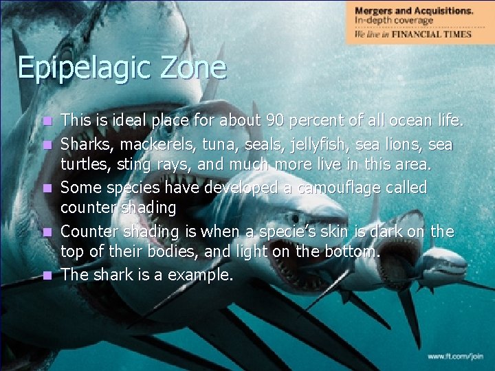Epipelagic Zone n n n This is ideal place for about 90 percent of