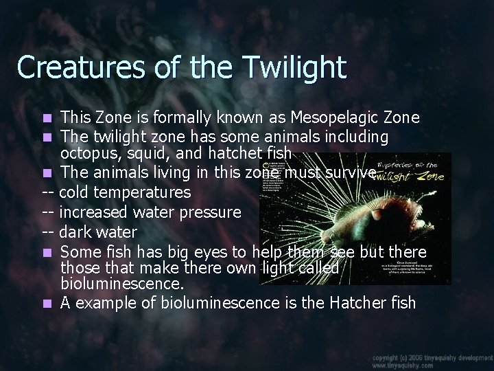Creatures of the Twilight This Zone is formally known as Mesopelagic Zone The twilight