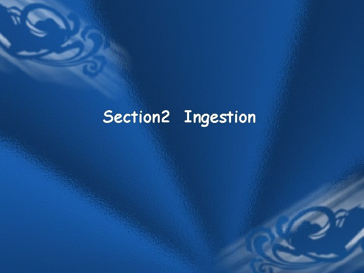 Section 2 Ingestion Section 2 Ingestion