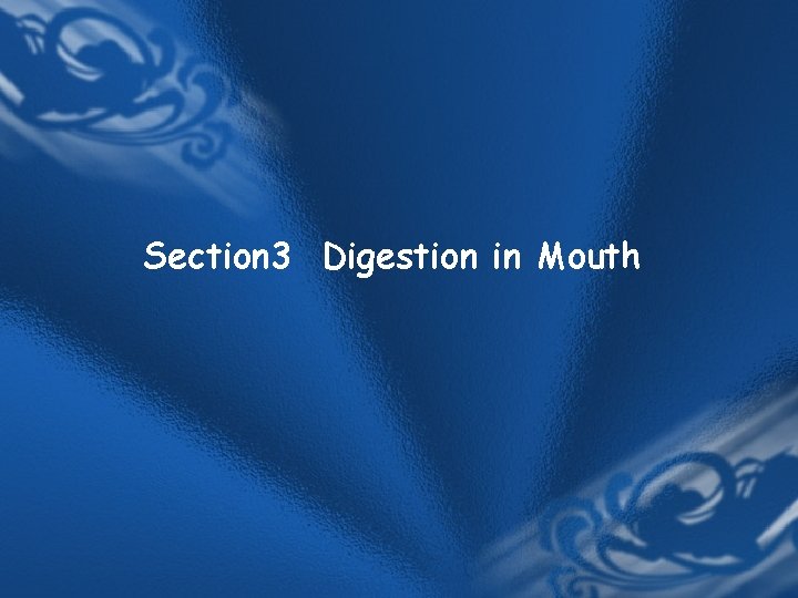 Section 3 Digestion in Mouth Section 3 Digestion in Mouth