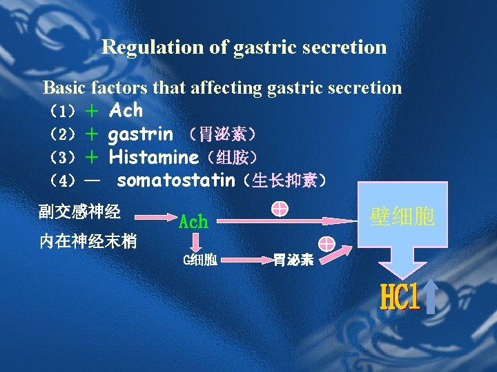 Regulation of gastric secretion Basic factors that affecting gastric secretion (1)+ Ach (2)+ gastrin Regulation of gastric secretion Basic factors that affecting gastric secretion (1)+ Ach (2)+ gastrin