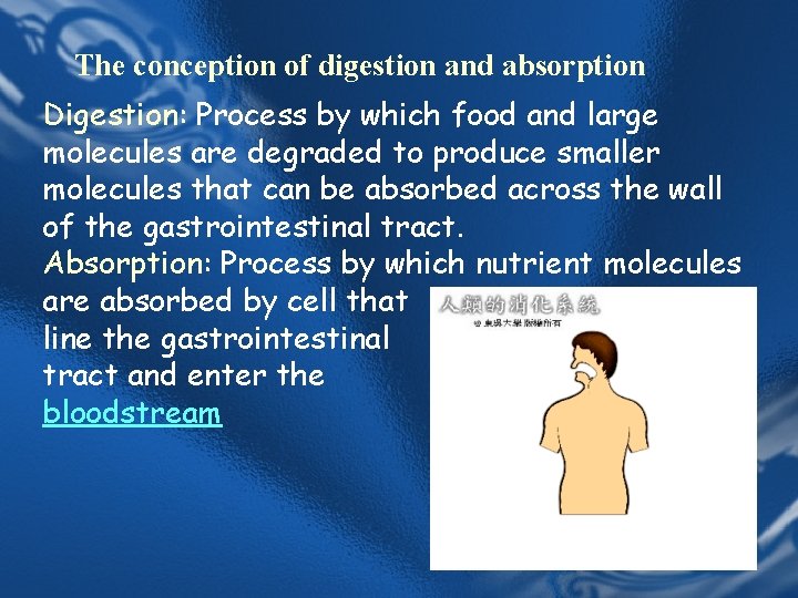 The conception of digestion and absorption Digestion: Process by which food and large molecules The conception of digestion and absorption Digestion: Process by which food and large molecules