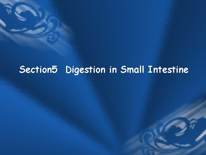 Section 5 Digestion in Small Intestine Section 5 Digestion in Small Intestine