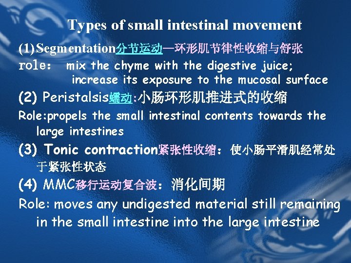 Types of small intestinal movement (1) Segmentation分节运动—环形肌节律性收缩与舒张 role: mix the chyme with the digestive Types of small intestinal movement (1) Segmentation分节运动—环形肌节律性收缩与舒张 role: mix the chyme with the digestive