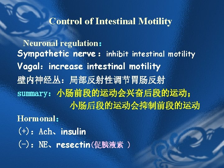 Control of Intestinal Motility Neuronal regulation: Sympathetic nerve :inhibit intestinal motility Vagal:increase intestinal motility Control of Intestinal Motility Neuronal regulation: Sympathetic nerve :inhibit intestinal motility Vagal:increase intestinal motility