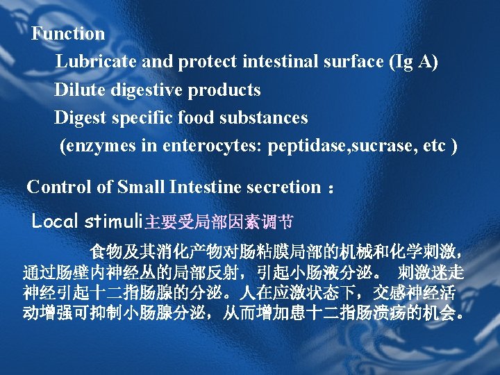 Function Lubricate and protect intestinal surface (Ig A) Dilute digestive products Digest specific food Function Lubricate and protect intestinal surface (Ig A) Dilute digestive products Digest specific food
