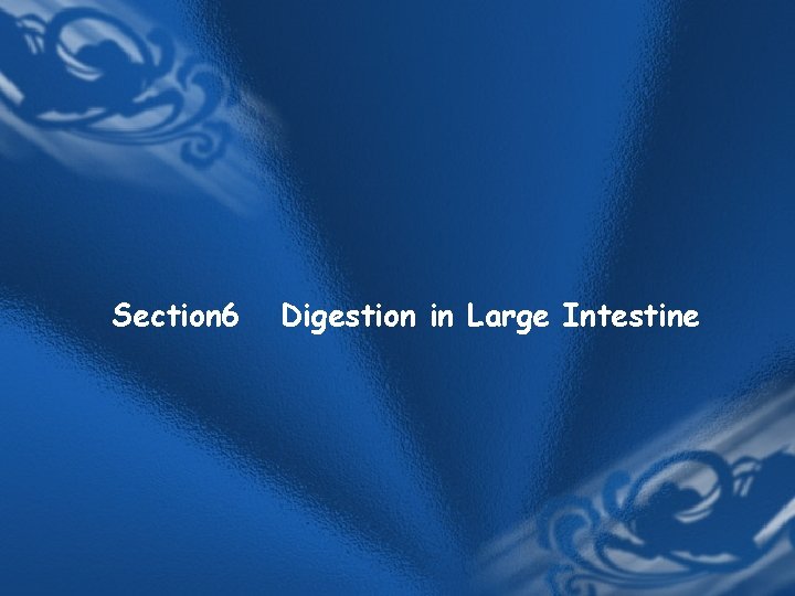 Section 6 Digestion in Large Intestine Section 6 Digestion in Large Intestine