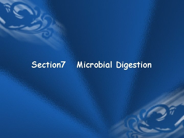 Section 7 Microbial Digestion Section 7 Microbial Digestion