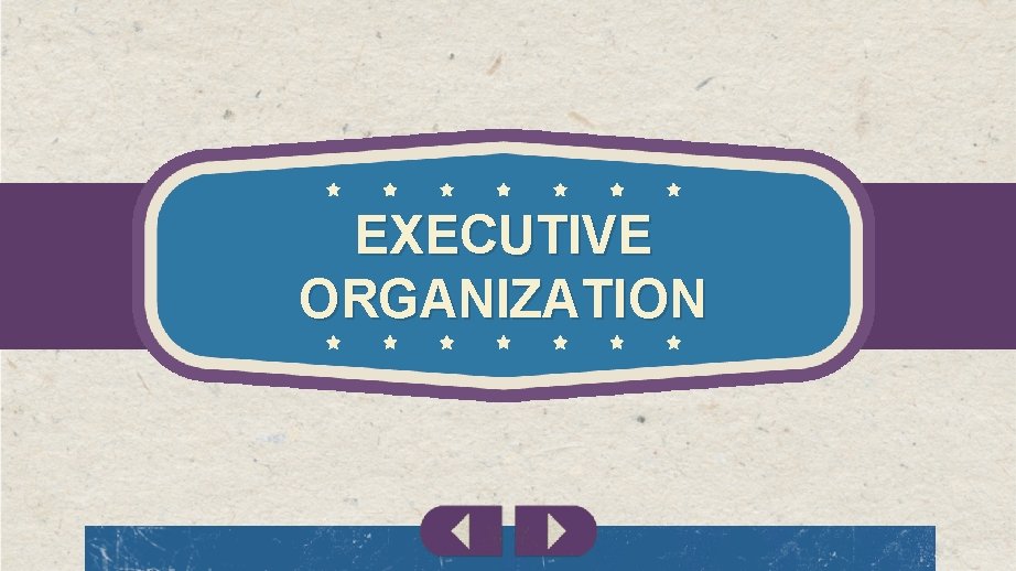 EXECUTIVE ORGANIZATION 