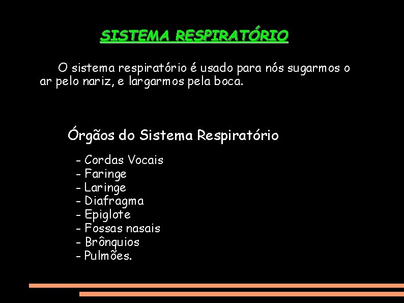 SISTEMA RESPIRATÓRIO O sistema respiratório é usado para nós sugarmos o ar pelo nariz,