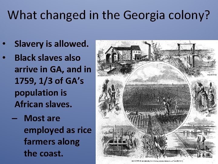 What changed in the Georgia colony? • Slavery is allowed. • Black slaves also