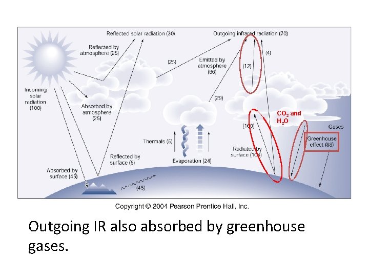 CO 2 and H 2 O Outgoing IR also absorbed by greenhouse gases. 