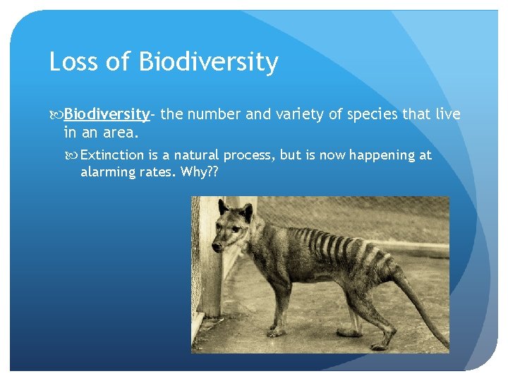 Loss of Biodiversity- the number and variety of species that live in an area.