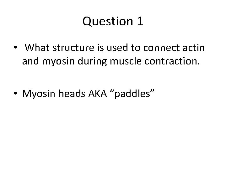 Question 1 • What structure is used to connect actin and myosin during muscle