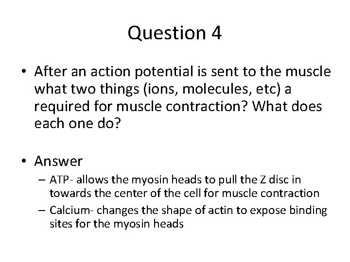 Question 4 • After an action potential is sent to the muscle what two