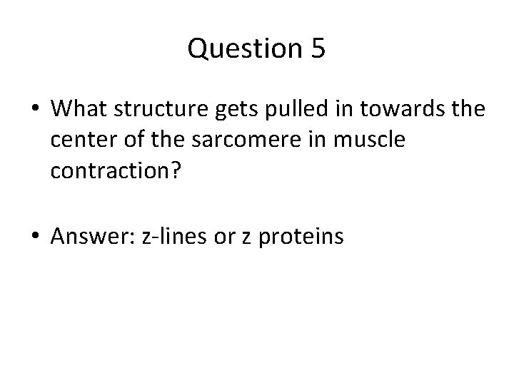 Question 5 • What structure gets pulled in towards the center of the sarcomere