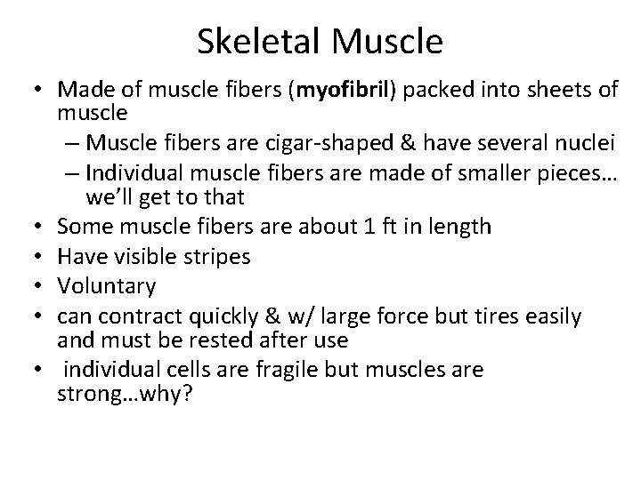 Skeletal Muscle • Made of muscle fibers (myofibril) packed into sheets of muscle –