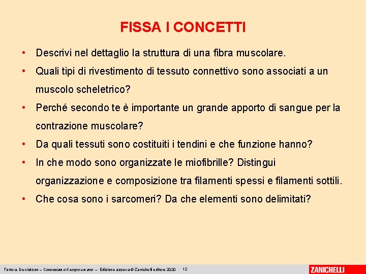 FISSA I CONCETTI • Descrivi nel dettaglio la struttura di una fibra muscolare. •