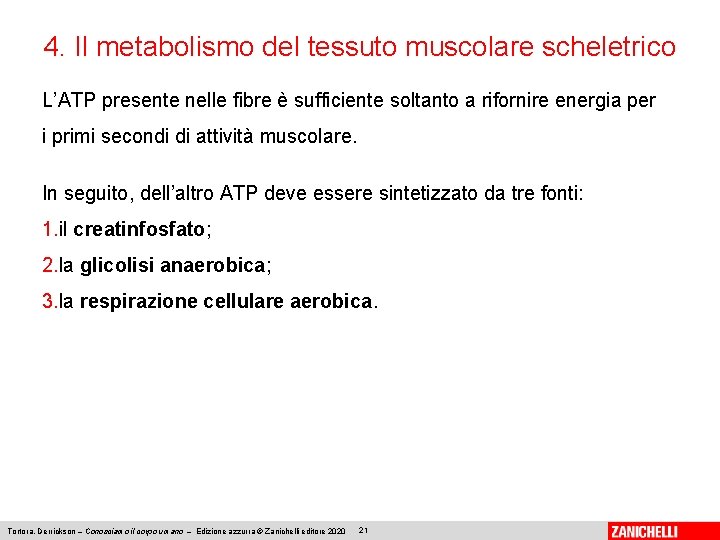 4. Il metabolismo del tessuto muscolare scheletrico L’ATP presente nelle fibre è sufficiente soltanto