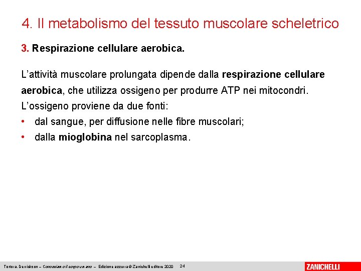 4. Il metabolismo del tessuto muscolare scheletrico 3. Respirazione cellulare aerobica. L’attività muscolare prolungata