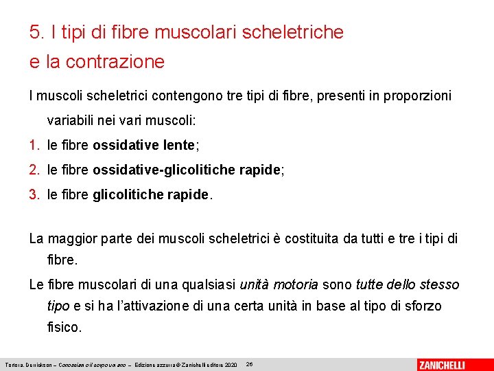 5. I tipi di fibre muscolari scheletriche e la contrazione I muscoli scheletrici contengono