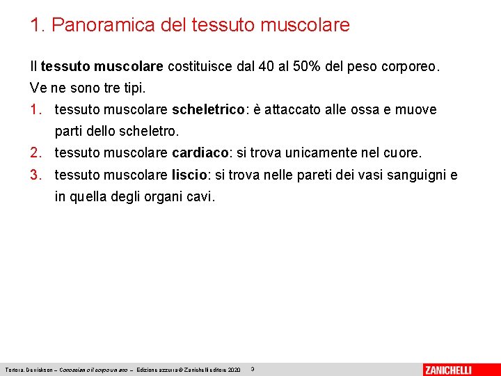1. Panoramica del tessuto muscolare Il tessuto muscolare costituisce dal 40 al 50% del
