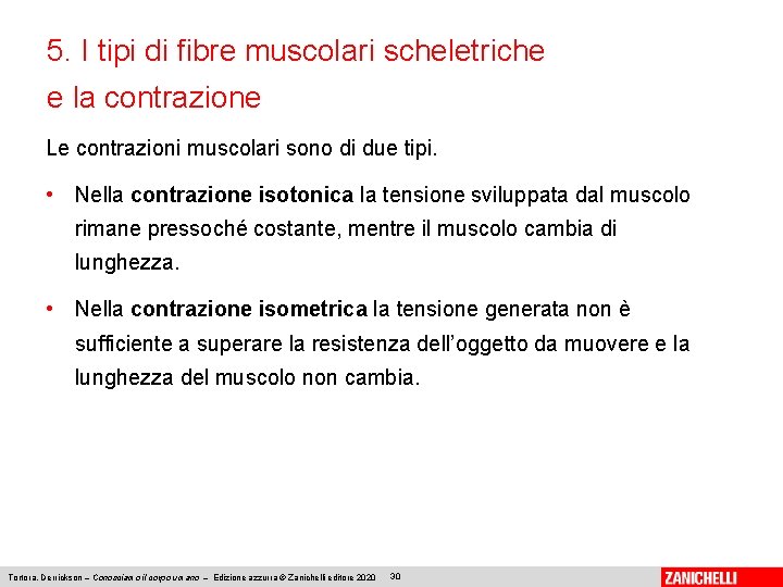 5. I tipi di fibre muscolari scheletriche e la contrazione Le contrazioni muscolari sono