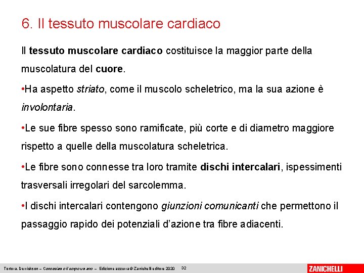 6. Il tessuto muscolare cardiaco costituisce la maggior parte della muscolatura del cuore. •