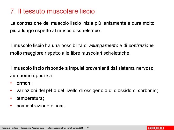 7. Il tessuto muscolare liscio La contrazione del muscolo liscio inizia più lentamente e