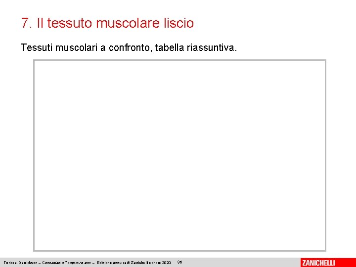 7. Il tessuto muscolare liscio Tessuti muscolari a confronto, tabella riassuntiva. Tortora, Derrickson –