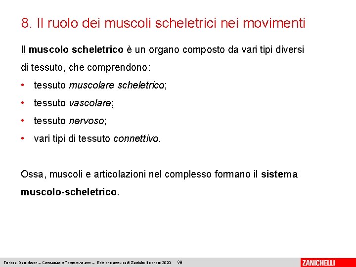 8. Il ruolo dei muscoli scheletrici nei movimenti Il muscolo scheletrico è un organo