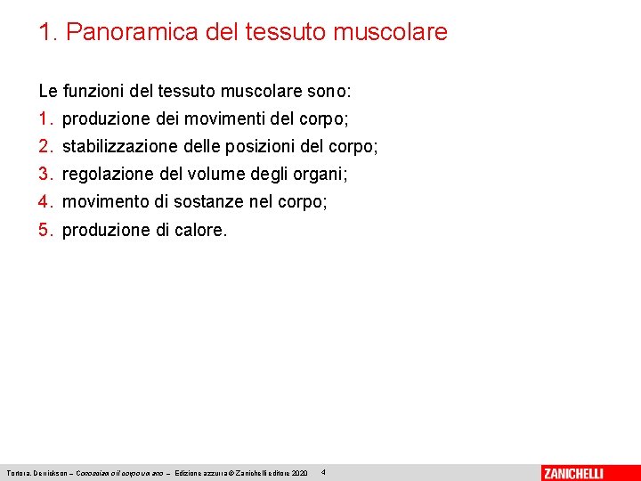 1. Panoramica del tessuto muscolare Le funzioni del tessuto muscolare sono: 1. produzione dei