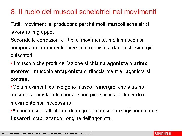 8. Il ruolo dei muscoli scheletrici nei movimenti Tutti i movimenti si producono perché