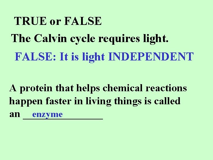 TRUE or FALSE The Calvin cycle requires light. FALSE: It is light INDEPENDENT A