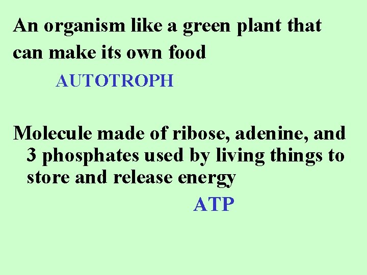An organism like a green plant that can make its own food AUTOTROPH Molecule