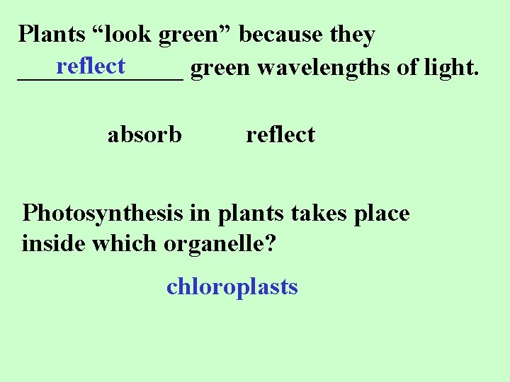 Photosynthesis Review Chapter 8 Plants look green because