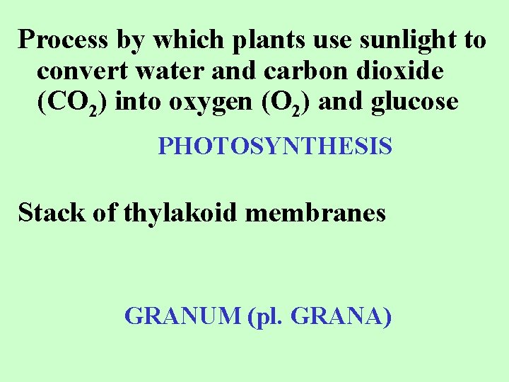 Process by which plants use sunlight to convert water and carbon dioxide (CO 2)