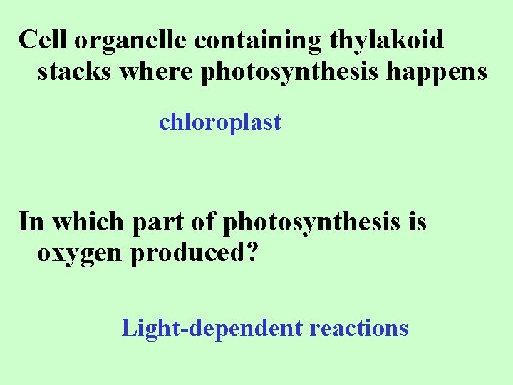 Cell organelle containing thylakoid stacks where photosynthesis happens chloroplast In which part of photosynthesis